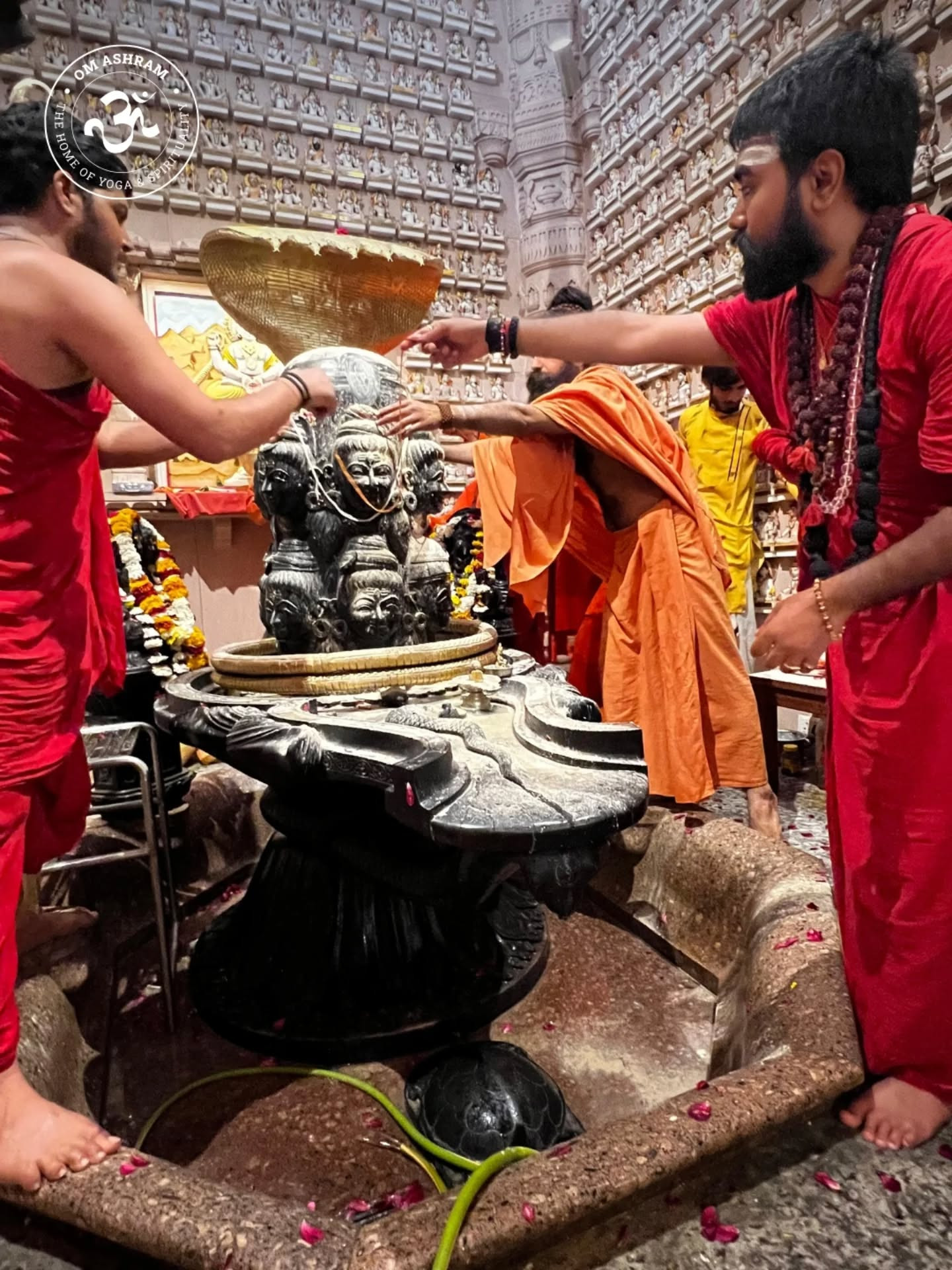 630177305 17973855738001141 1346737839707527997 n