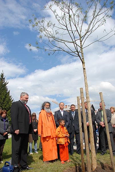 peace tree Slovenia 2008