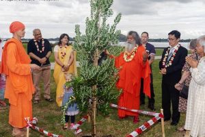 Peace Tree Planting, Auckland NZ, March 2019